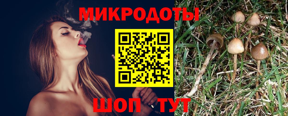 Северодвинск  Псилоцибиновые грибы MAGIC MUSHROOMS  Вход с VPN 